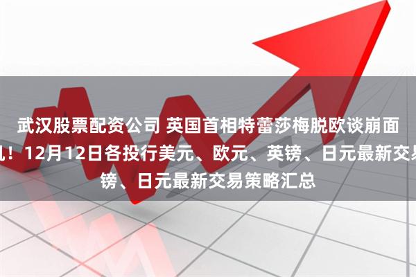 武汉股票配资公司 英国首相特蕾莎梅脱欧谈崩面临下台危机！12月12日各投行美元、欧元、英镑、日元最新交易策略汇总