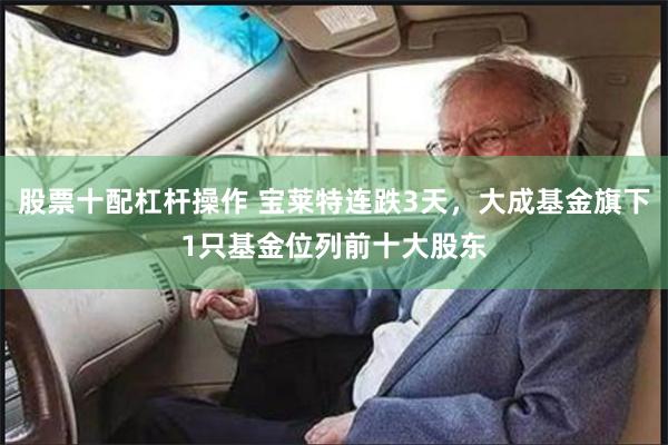 股票十配杠杆操作 宝莱特连跌3天，大成基金旗下1只基金位列前十大股东