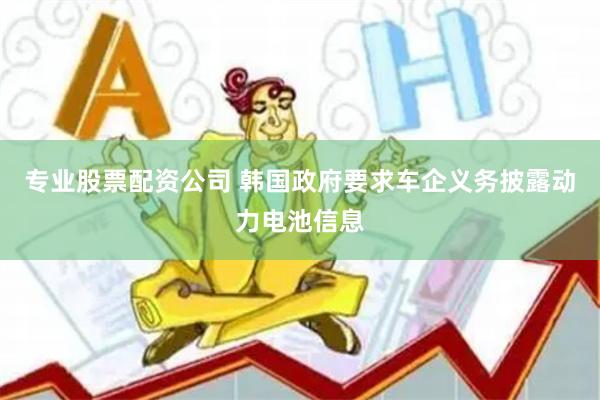 专业股票配资公司 韩国政府要求车企义务披露动力电池信息