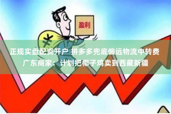 正规实盘配资开户 拼多多兜底偏远物流中转费 广东商家：计划把椰子鸡卖到西藏新疆