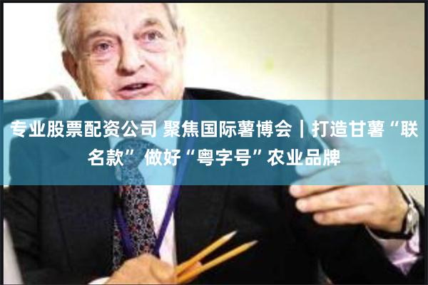 专业股票配资公司 聚焦国际薯博会｜打造甘薯“联名款” 做好“粤字号”农业品牌