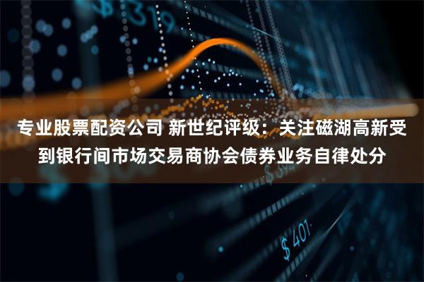 专业股票配资公司 新世纪评级：关注磁湖高新受到银行间市场交易商协会债券业务自律处分