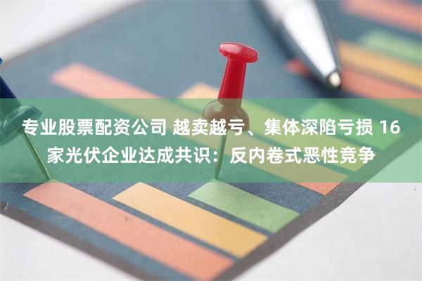 专业股票配资公司 越卖越亏、集体深陷亏损 16家光伏企业达成共识：反内卷式恶性竞争
