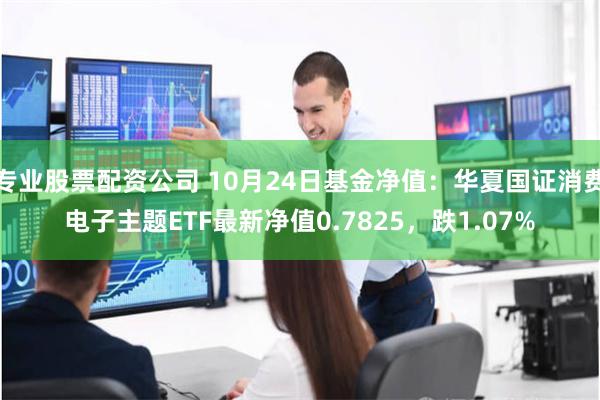 专业股票配资公司 10月24日基金净值：华夏国证消费电子主题ETF最新净值0.7825，跌1.07%