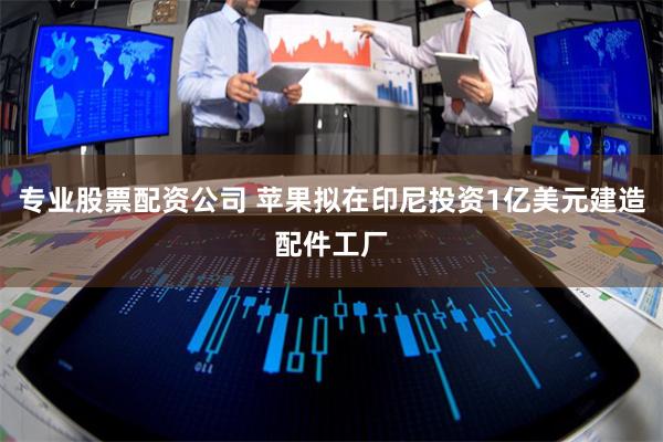专业股票配资公司 苹果拟在印尼投资1亿美元建造配件工厂